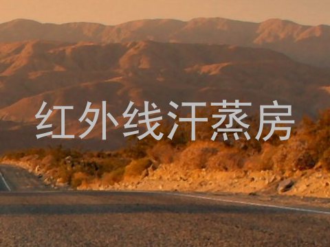 红外线汗蒸房