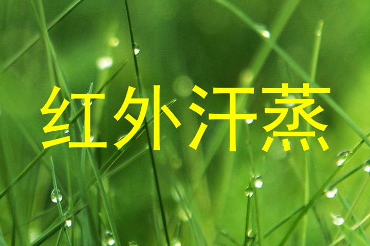 红外汗蒸