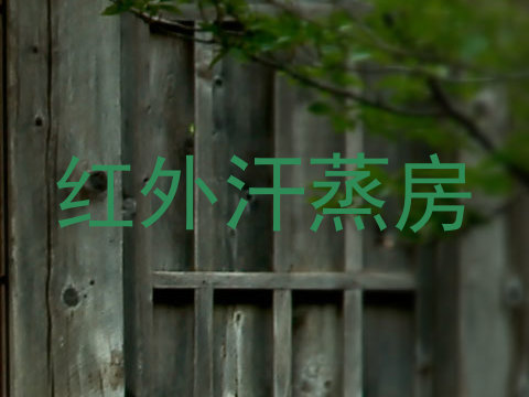 红外汗蒸房