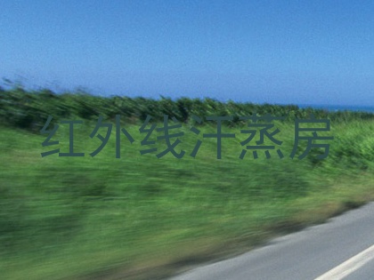 红外线汗蒸房