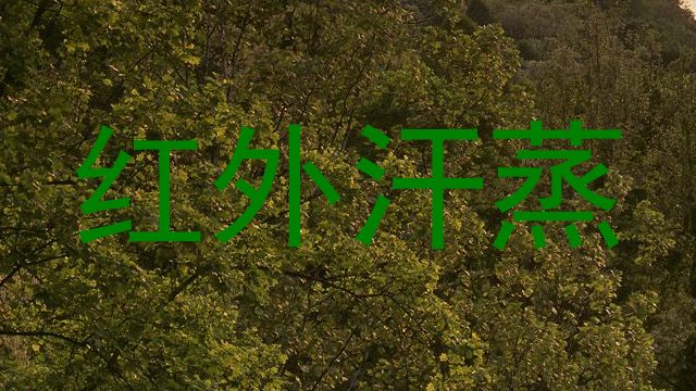 红外汗蒸