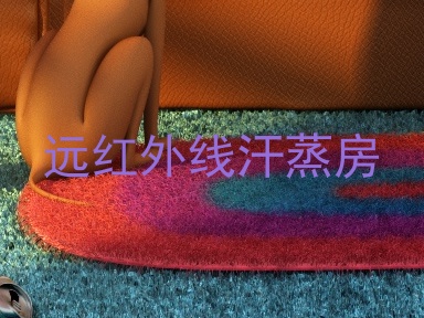 远红外线汗蒸房