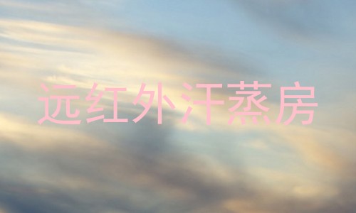 远红外汗蒸房