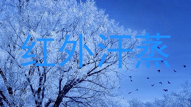 红外汗蒸