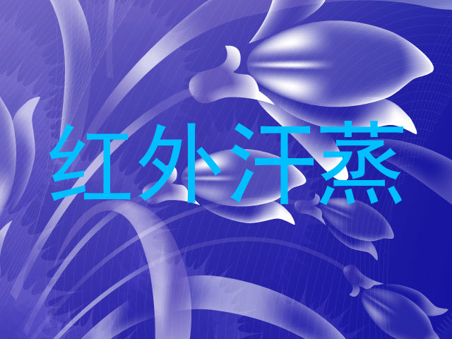 红外汗蒸