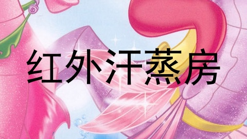 红外汗蒸房