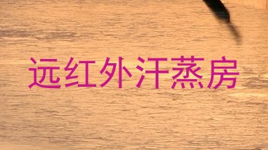 远红外汗蒸房