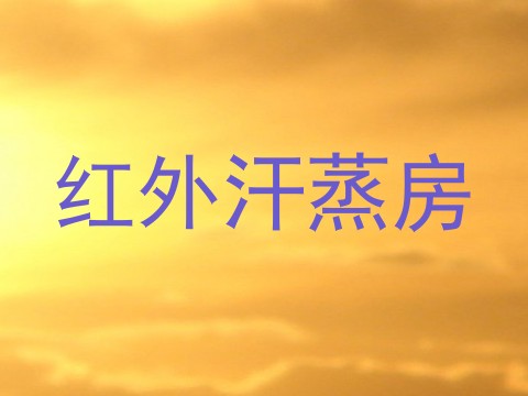 红外汗蒸房