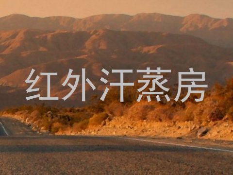 红外汗蒸房
