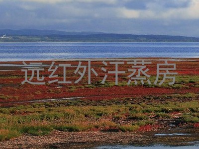 远红外汗蒸房