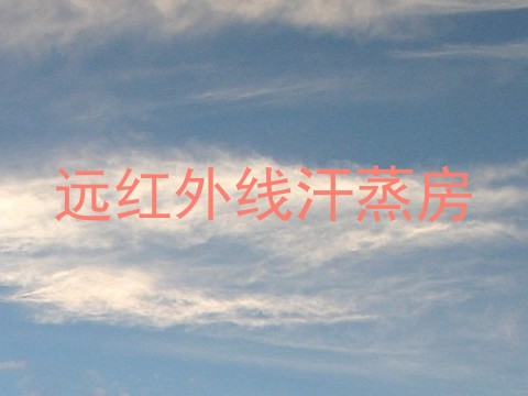 远红外线汗蒸房