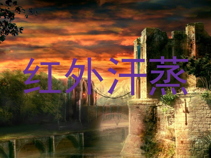 红外汗蒸