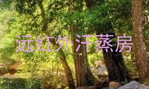 远红外汗蒸房