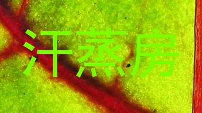 汗蒸房