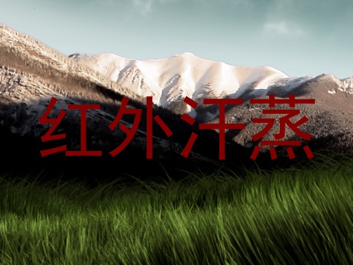红外汗蒸