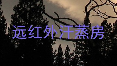 远红外汗蒸房