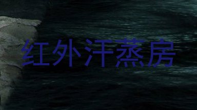 红外汗蒸房