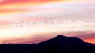 远红外汗蒸房