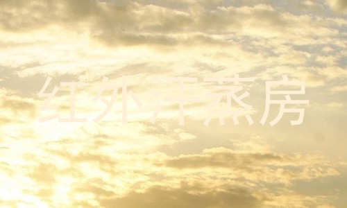 红外汗蒸房