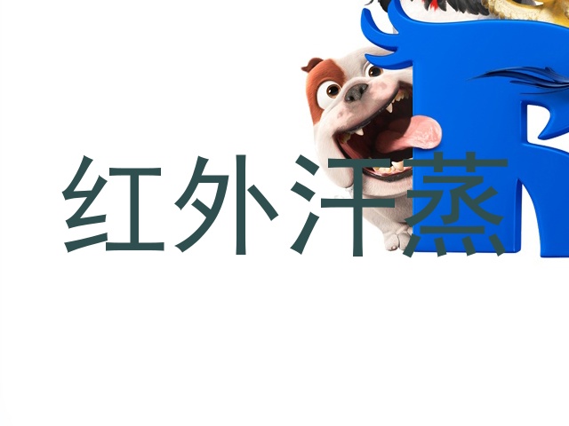 红外汗蒸