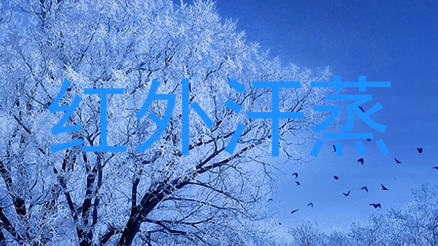 红外汗蒸