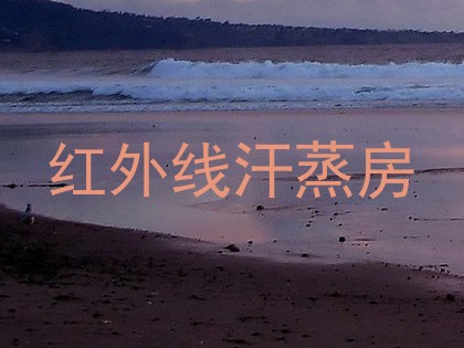 红外线汗蒸房