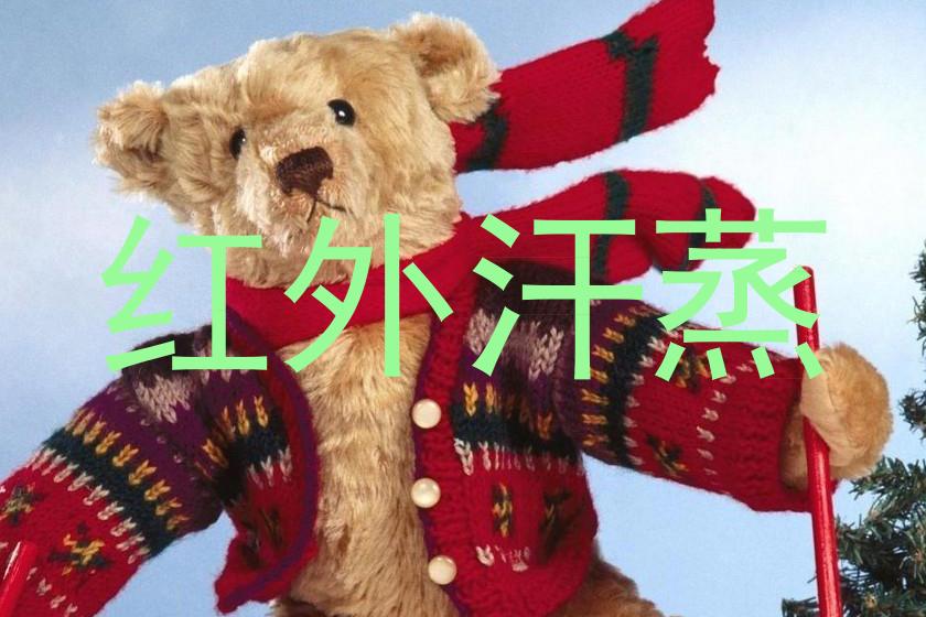 红外汗蒸