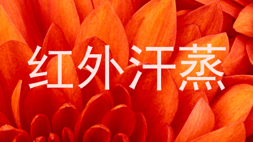 红外汗蒸