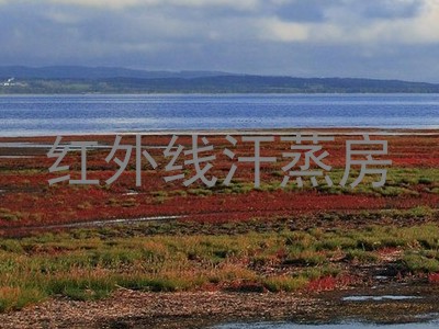 红外线汗蒸房