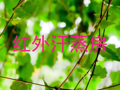 红外汗蒸房