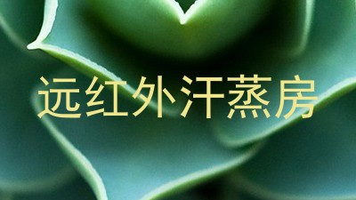 远红外汗蒸房