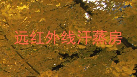 远红外线汗蒸房