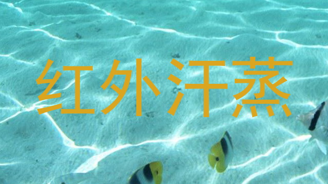 红外汗蒸