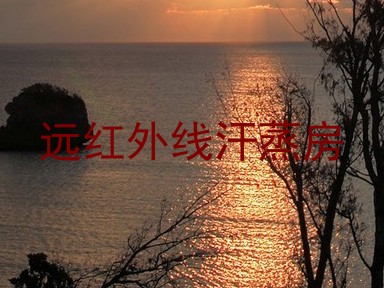 远红外线汗蒸房