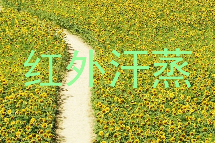 红外汗蒸