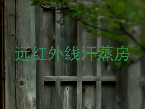 远红外线汗蒸房