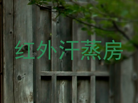 红外汗蒸房