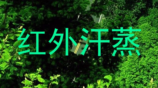 红外汗蒸