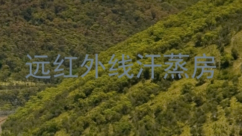远红外线汗蒸房