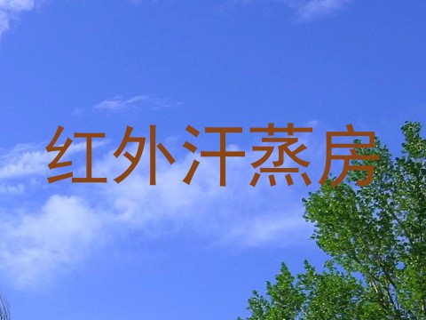红外汗蒸房