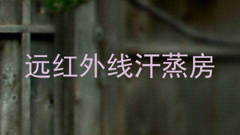 远红外线汗蒸房