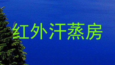 红外汗蒸房