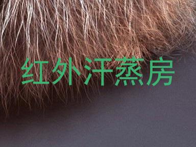 红外汗蒸房
