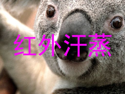 红外汗蒸