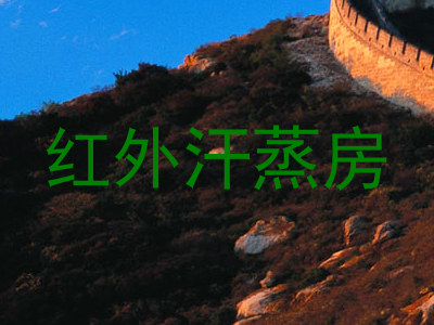 红外汗蒸房