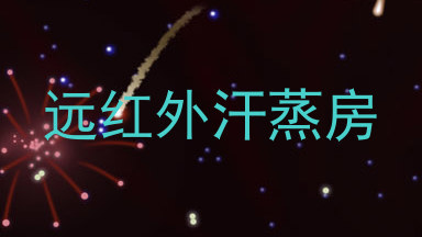 远红外汗蒸房