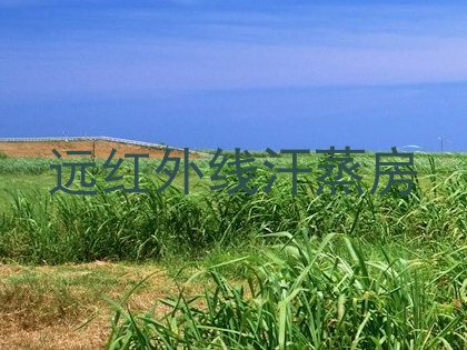 远红外线汗蒸房