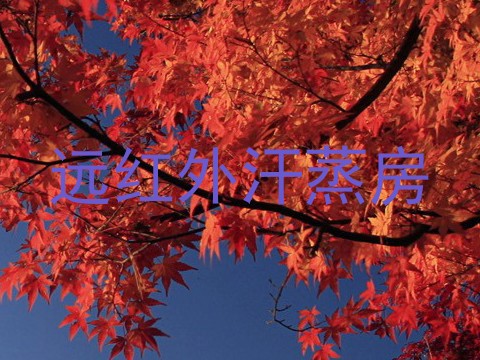 远红外汗蒸房