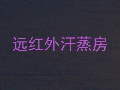 远红外汗蒸房