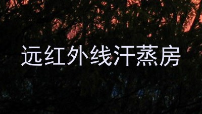远红外线汗蒸房